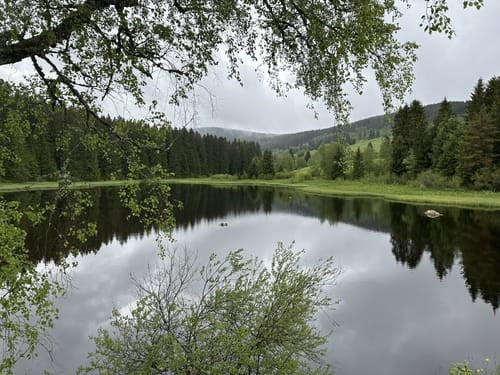 Entlang des Schluchsee von Unteraha nach Unterkrummen