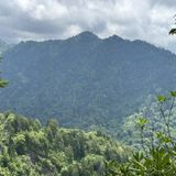 Peregrine Peak via Alum Cave Bluff Trail, Tennessee - 8,105 Reviews ...