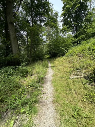 Um den Atzelberg