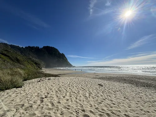 Roosevelt Beach - hikes and trails to get you there | AllTrails