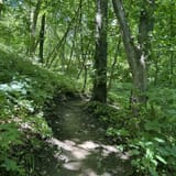 Dozer Cut, Bunker Hill, and Badger Ridge Trail Loop, Iowa - 1,152 ...