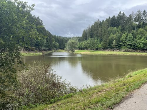 Hüttenbühlsee - Hagerwaldsee