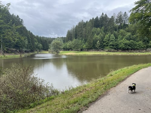 Hüttenbühlsee - Hagerwaldsee