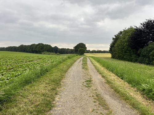 Stinderbachtal und Nösenberg