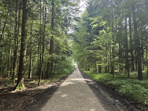 Parsberg - Kalvarienberg Runde