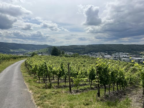 Trarbach - Bernkastel