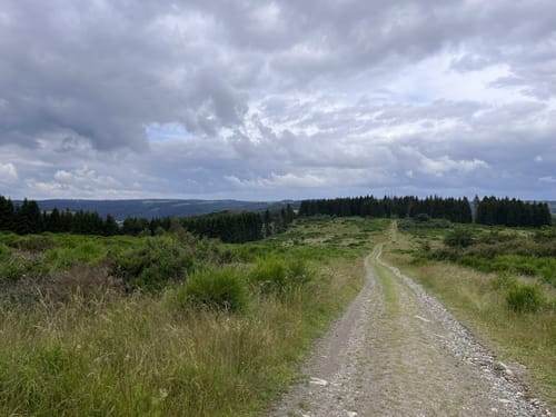 Einruhr: Vogelsang und Wüstung Wollseifen