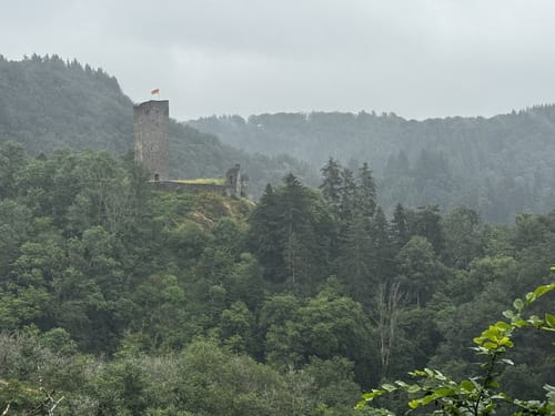 Lieserpfad Etappe 2: Daun - Manderscheid