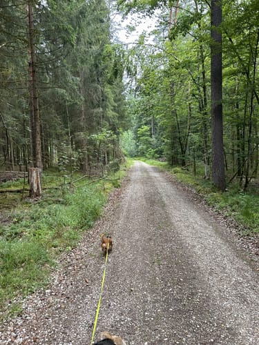 Fränkisches Seenland 132