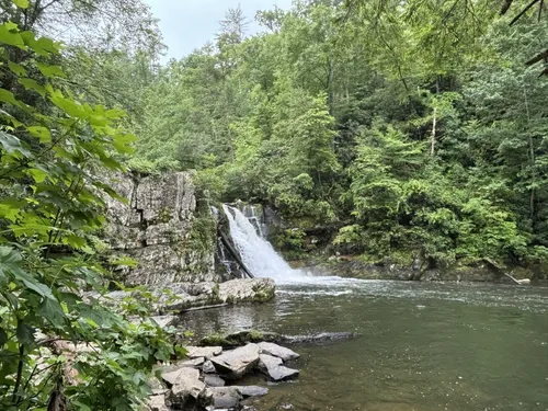 Caduta Nel Parco Nazionale Di Great Smoky Mountains Fotografia Stock Caduta Nel Parco Nazionale Di Great Smoky Mountains Image80170652 - Foto 3
