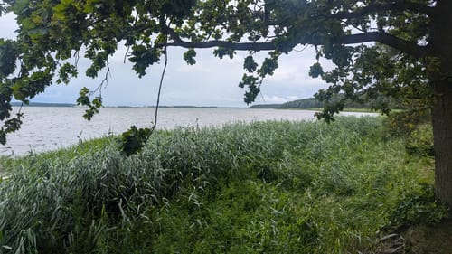 Nach Glowe am Bodden