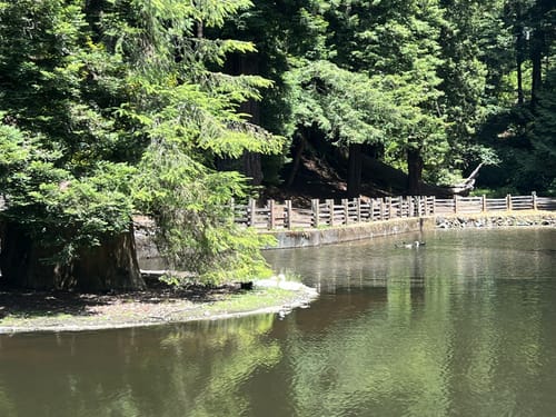 Find more Camp Trails Cabin Creek 4 Person Tent for sale at