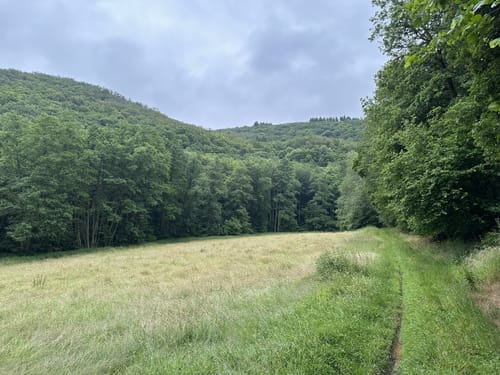 Bad Sobernheim, Hottenbachweg