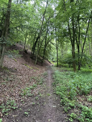 Bad Sobernheim, Hottenbachweg