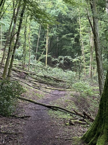 Bad Sobernheim, Hottenbachweg