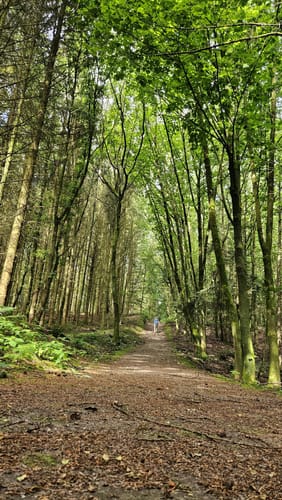 Rundweg Godau-Sepel