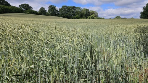 Rundweg Godau-Sepel