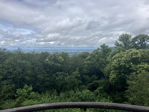 Königstuhl - Heidelberg Wanderweg 9