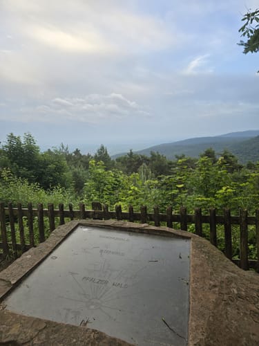 Hambacher Schloss - Hohe Loog