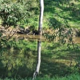 Galatea Point & Dights Falls Loop, Victoria, Australia - 416 Reviews ...
