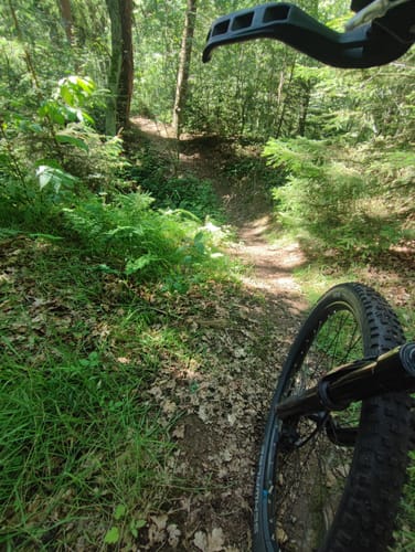 Rundweg Juchhöh (BR1)