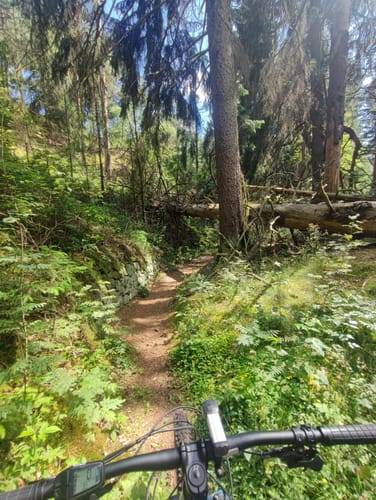 Rundweg Juchhöh (BR1)