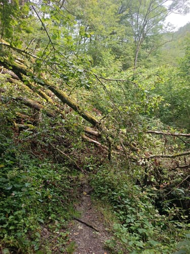 Von Nassau entlang der Lahn und nach Singhofen