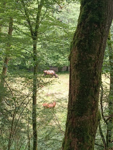Von Nassau entlang der Lahn und nach Singhofen