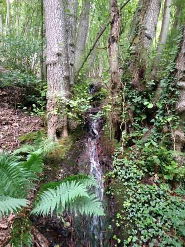 Von Nassau entlang der Lahn und nach Singhofen