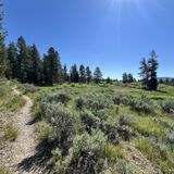 Colter Bay Hermitage Point Trail, Wyoming - 777 Reviews, Map | AllTrails