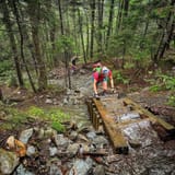 Sunset Ridge and Long Trail Loop, Vermont - 1,355 Reviews, Map | AllTrails