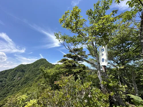 金山 - hikes and trails to get you there | AllTrails