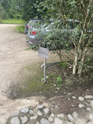 Rund um den Fährhof in Sottrum