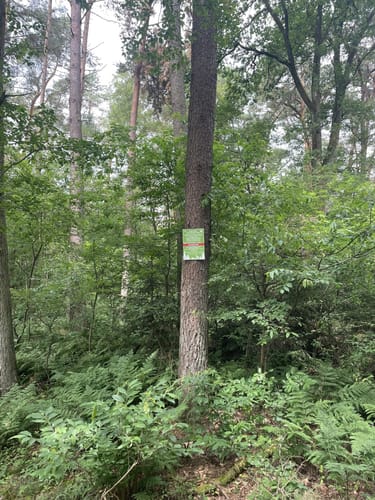 Rund um den Fährhof in Sottrum