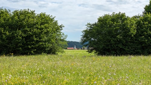 Wandern im ZugspitzLand Farchant - Waldsaumweg
