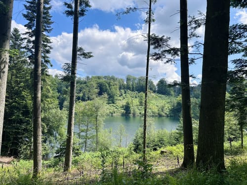 Lantenbach Rundweg A4