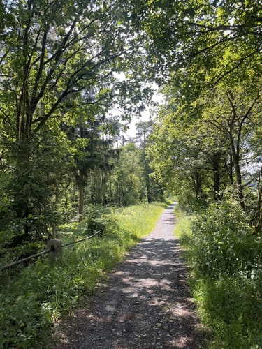 Schwarzenbach an der Saale nach Gut Holzfeld