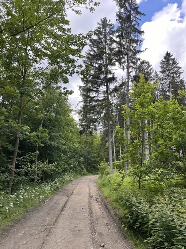 Schwarzenbach an der Saale nach Gut Holzfeld
