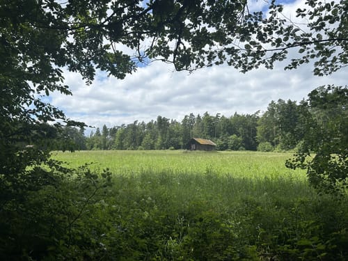 Wasser-, Wald- und Wiesenpfad (Premiumwanderweg)