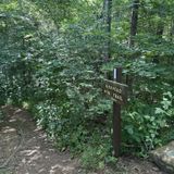 Birkhead Mountain Trail, North Carolina - 496 Reviews, Map | AllTrails