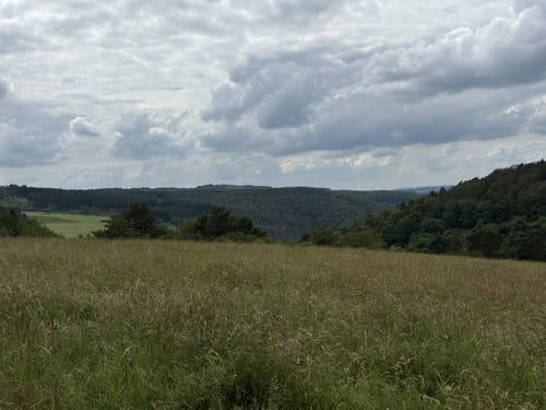 Glaabacher Almauftrieb (Premiumwanderweg)