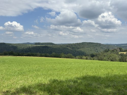 Glaabacher Almauftrieb (Premiumwanderweg)
