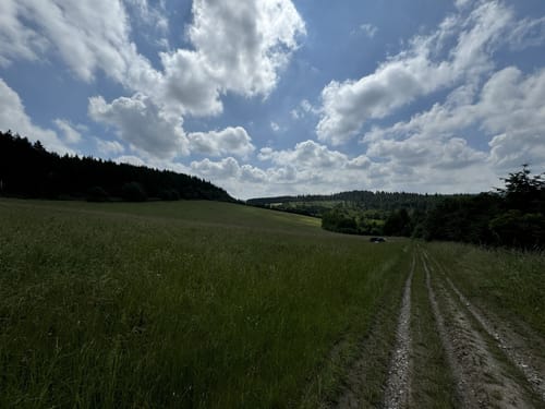Glaabacher Almauftrieb (Premiumwanderweg)