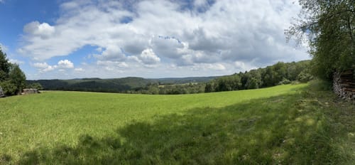Glaabacher Almauftrieb (Premiumwanderweg)
