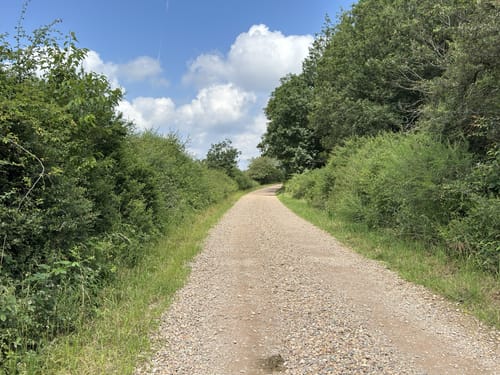 Glaabacher Almauftrieb (Premiumwanderweg)
