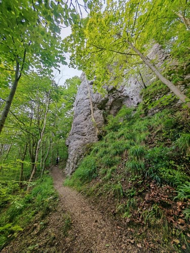 Löwenpfad Höhenrunde