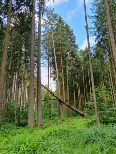 Kleine Rund um den Petershof