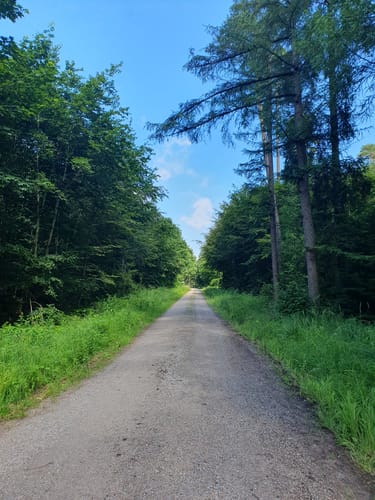 Kleine Rund um den Petershof