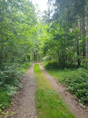 Kleine Rund um den Petershof