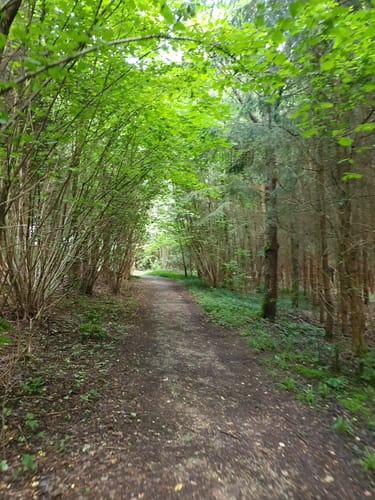 Kleine Rund um den Petershof